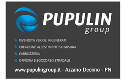 Logó Pupulin Group