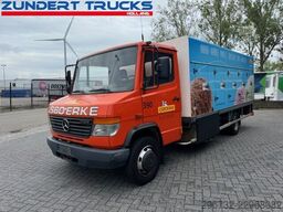 Mercedes-Benz VARIO 814D