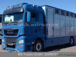 MAN TGX 18.430 | Finkl 1 Stock Viehtransporter