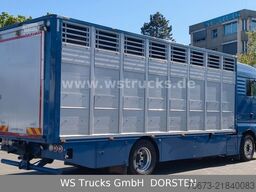 MAN TGX 18.430 | Finkl 1 Stock Viehtransporter