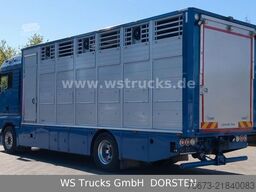 MAN TGX 18.430 | Finkl 1 Stock Viehtransporter