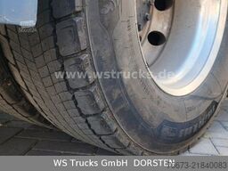 MAN TGX 18.430 | Finkl 1 Stock Viehtransporter