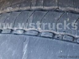 MAN TGX 18.430 | Finkl 1 Stock Viehtransporter