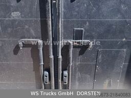 MAN TGX 18.430 | Finkl 1 Stock Viehtransporter