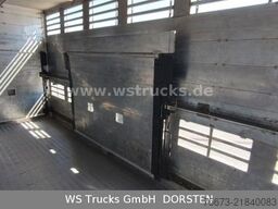 MAN TGX 18.430 | Finkl 1 Stock Viehtransporter