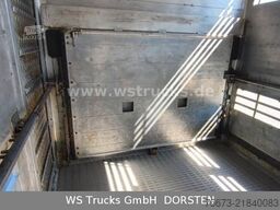 MAN TGX 18.430 | Finkl 1 Stock Viehtransporter