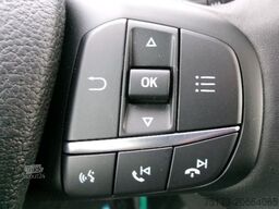 FORD Transit 350 L3H2 Trend Kombi Rampe KMP PDC GRA