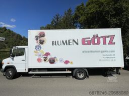 Mercedes-Benz Vario 816 D