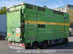 PEZZIOLI 2 Stock RBA31F ausfahrbares Dach Viehanhänger