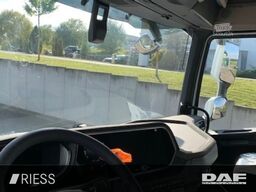 DAF XF 480 FAN Multiwechsler 112-132 2x AHK