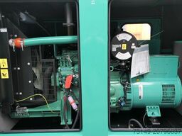 Cummins Stromgenerator, 62,5kVA, sofort vefügbar