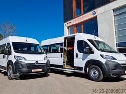 FIAT 1x Ducato 1x Opel Movano 18 SS in Stock