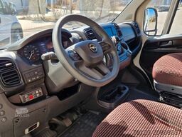 FIAT 1x Ducato 1x Opel Movano 18 SS in Stock