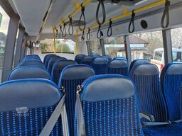 IVECO Daily C 70 City Niederflur 34 PAX auch als CNG