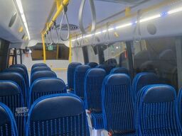 IVECO Daily C 70 City Niederflur 34 PAX auch als CNG