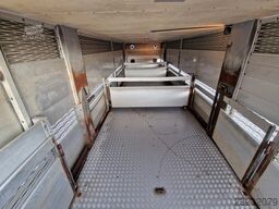 Scania P114-340 8x2*6 - Livestock 1 deck / Cattle - 3x...