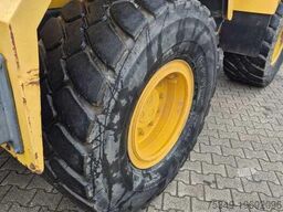 Euro Daewoo Doosan DL 200