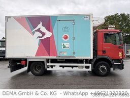 MAN TGM 15.250*ThermoKing*4 Rohrbahnen*Seitentür*