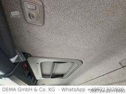 MAN TGM 15.250*ThermoKing*4 Rohrbahnen*Seitentür*