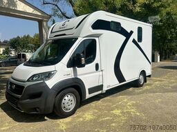 Fiat Ducato Theault 1-2 Pferde mit Hengsttrennung