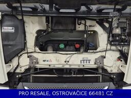 DAF XF 480 FT MEGA LD SSC EURO 6 + PARKCLIMA