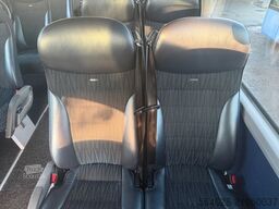 MAN R08 Lion?s Coach