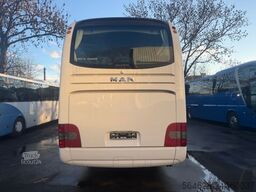 MAN R08 Lion?s Coach