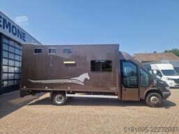 Iveco 65C Automaat paardenwagen C1 rijbewijs 2 paarde...