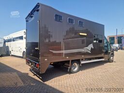Iveco 65C Automaat paardenwagen C1 rijbewijs 2 paarde...