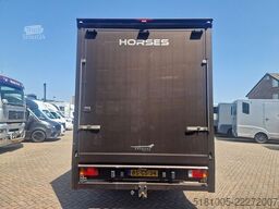 Iveco 65C Automaat paardenwagen C1 rijbewijs 2 paarde...