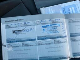 PEUGEOT Expert Kasten Premium L3 *Navi*Klima*PDC*