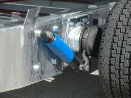 BLYSS Autotransporter 460x203cm 3000kg zGG
