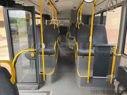 Solaris Urbino