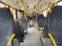 Solaris Urbino