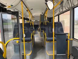 Solaris Urbino