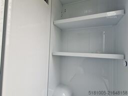 Renault Master ZE MTM S3 nieuw paardenwagen elektrisch ...