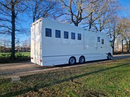 Volvo FH Middle East Specs Volvo FH 420 9 paarden, mi...