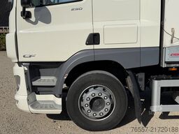 DAF CF 290 M3EN3