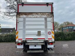 DAF CF 290 FA