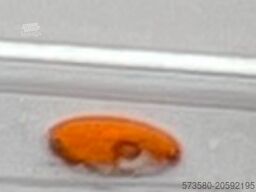 Etrusco T 6.9 SF (2022) – Ford Schaltgetriebe | Diesel | Teilintegriert