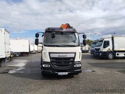 DAF LF 310 FA