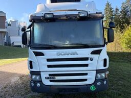 Scania P 380