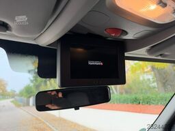Renault Master 1-2 Pferde Automatik Hengsttrennung