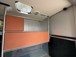 Renault Master 1-2 Pferde Automatik Hengsttrennung