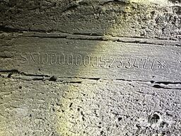 Schmitz Cargobull Tiefkühler Fleischhang