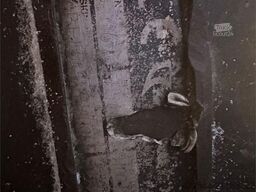 Volvo EC210LC excavator w/ toothed bucket. WATCH VIDEO