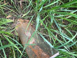 Horsch Cruiser 10 XL