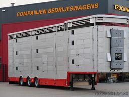 Pezzaioli SBA 31 - NEW - Neu - Livestock transporter