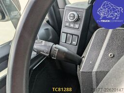 Renault T 480