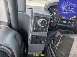 Renault T 480